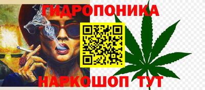 амф Гусь-Хрустальный