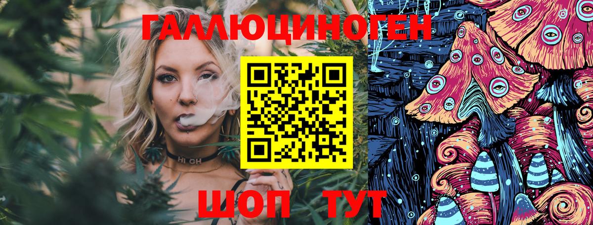 Галлюциногенные грибы Cubensis Луга